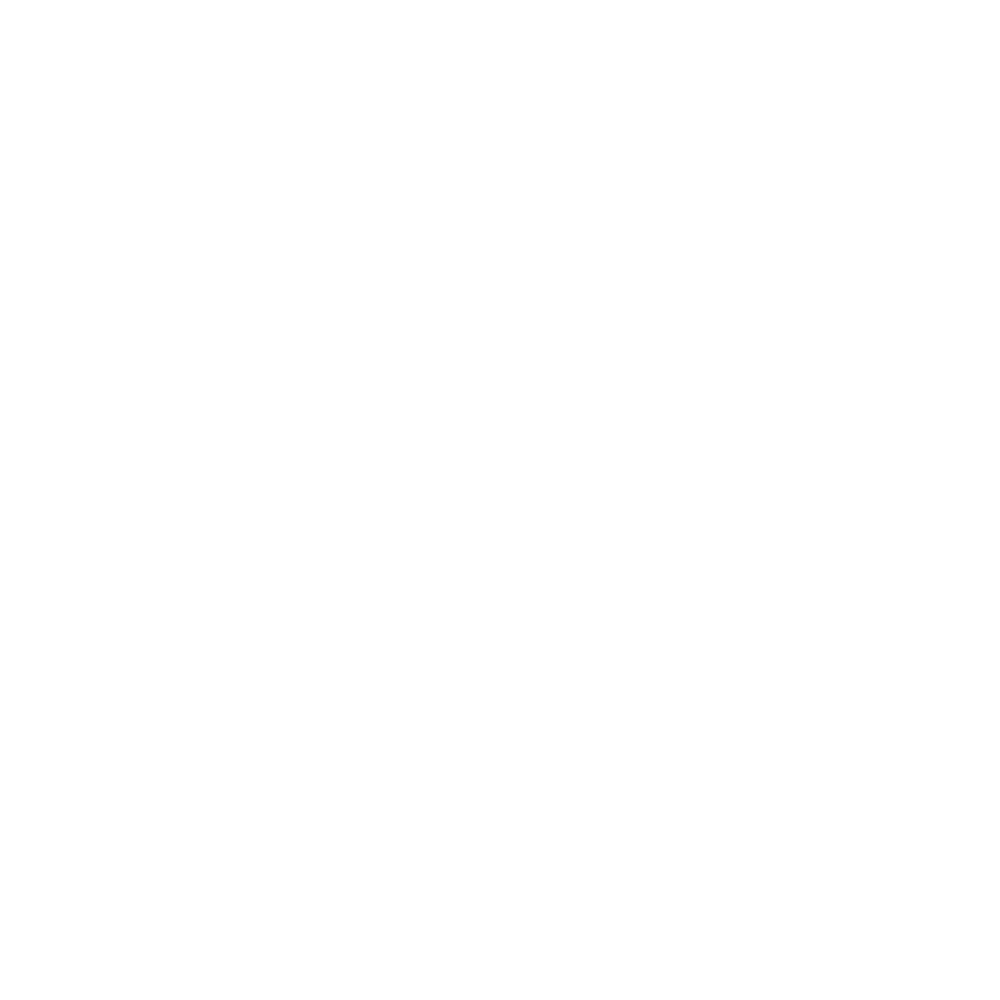 Iron Dog